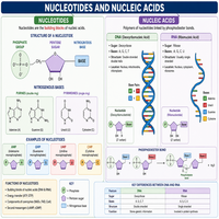 Nucleic acids and nucleotides