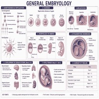 General embroyology