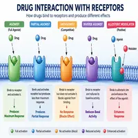 drug interaction receptors