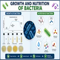 Growth and Nutrition of Bacteria