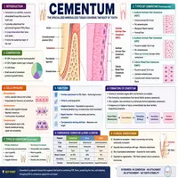 Cementum